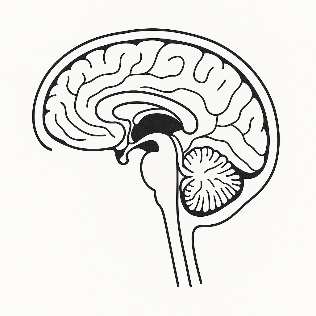 brain