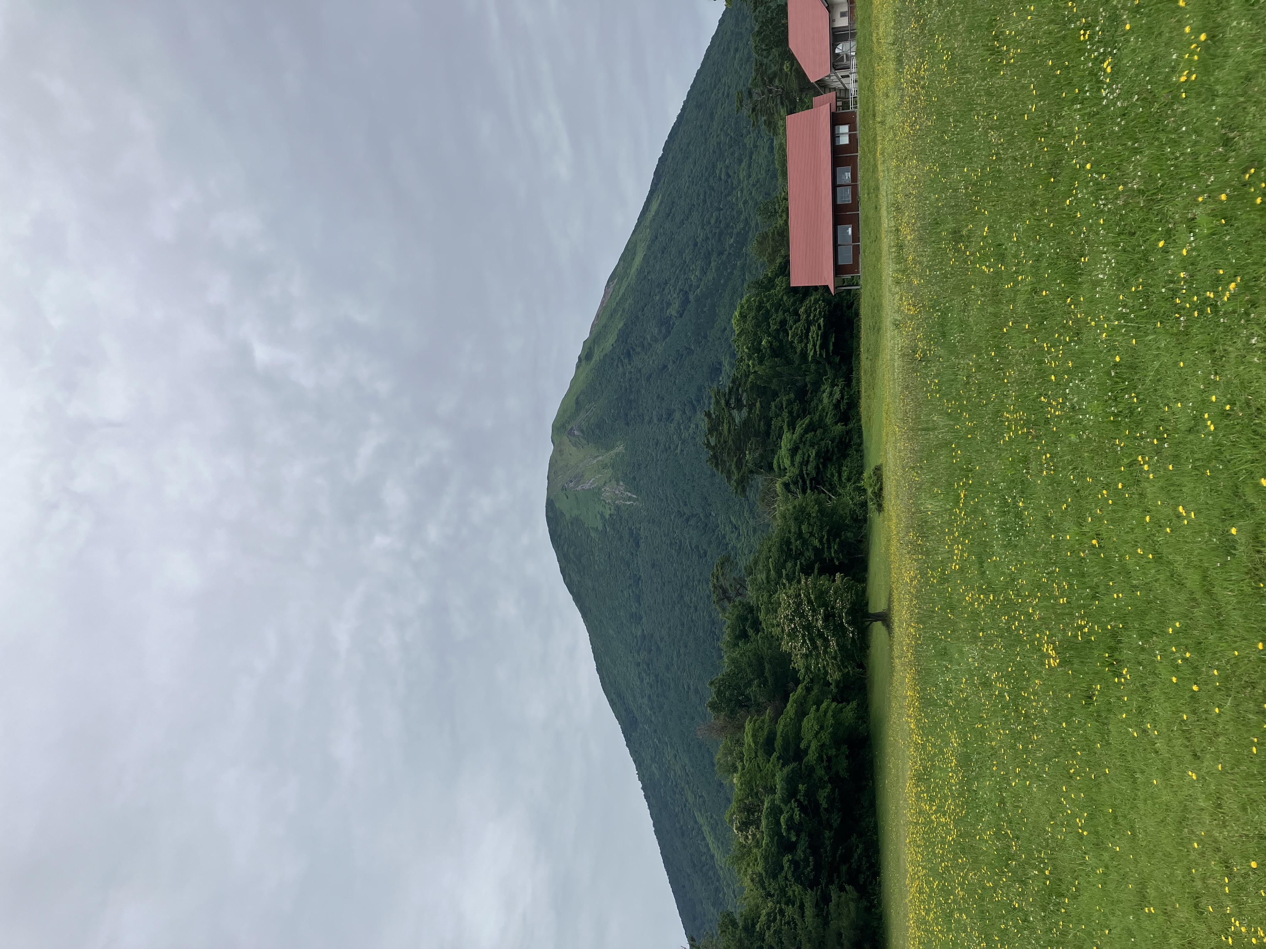daisen
